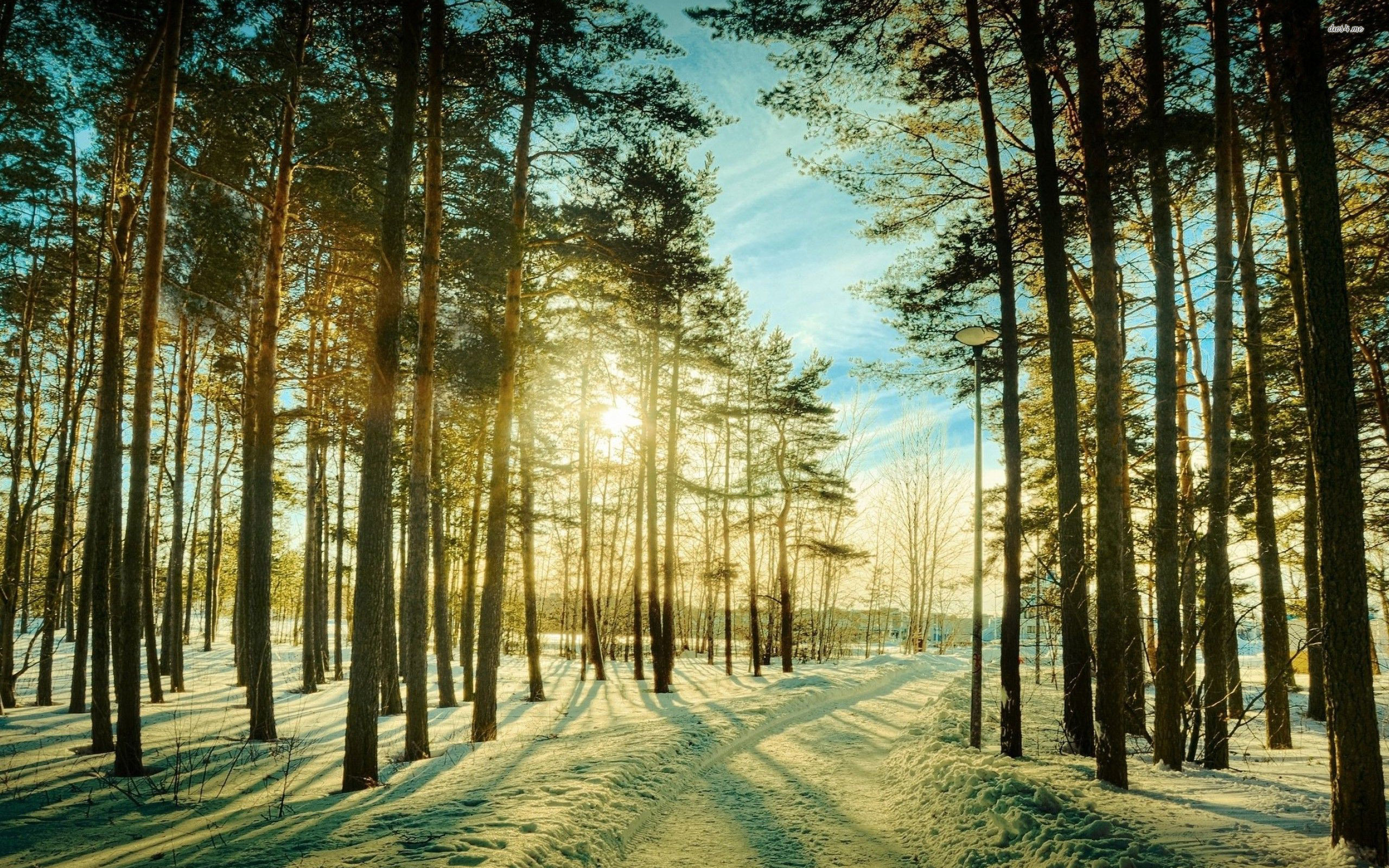 Könyvkritika – North of Beautiful – Iránytű Önmagamhoz