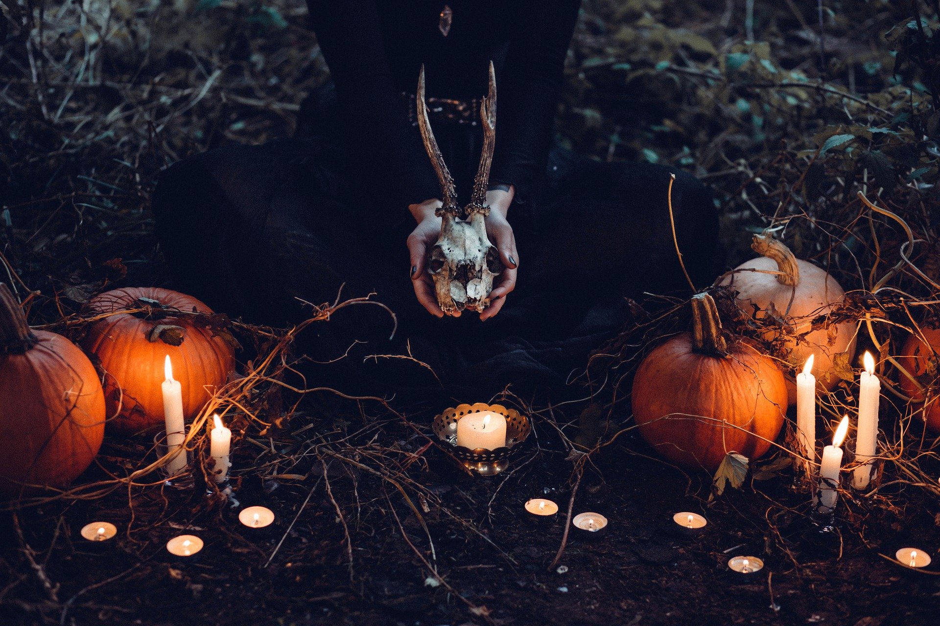 Filmajánló – Néhány klasszikus film Halloweenre