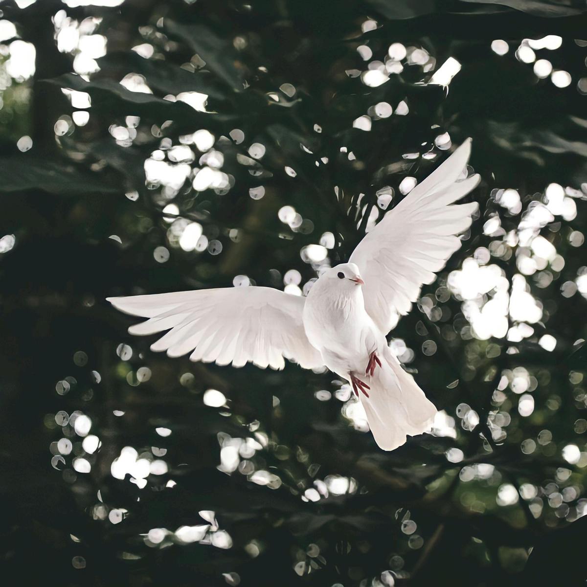 Írástechnika: A szimbolika használata a&nbsp;regényedben